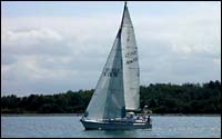 tri radial sails